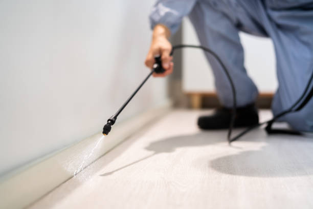 Licensed Termite Control service in Wyoming County County, NY - Nex Pest Control