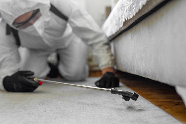 Professional Termite Control technician working in Wyoming County County, NY